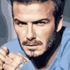 David Beckham Player Paint By Numbers