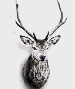 Deer Portrait Paint By Numbers
