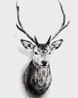 Deer Portrait Paint By Numbers