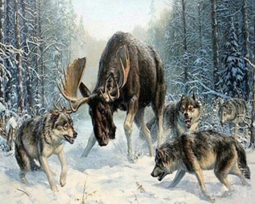 Deer Vs Wolves Paint By Numbers