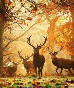 Deers in Autumn Forest Paint By Numbers