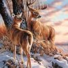 Deers in Winter Paint By Numbers