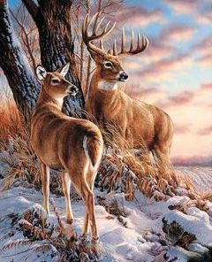 Deers in Winter Paint By Numbers
