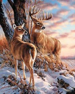 Deers in Winter Paint By Numbers