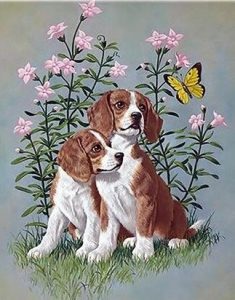 Dogs Under Flowers Paint By Numbers