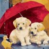Dogs under Umbrella Paint By Numbers