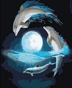 Dolphin Moon Paint By Numbers