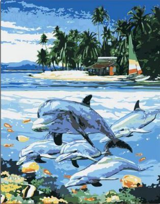 Dolphin Near the Beach Paint By Numbers