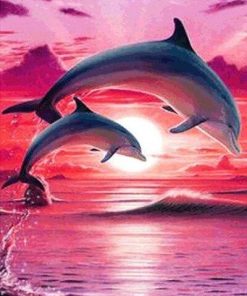Dolphin in Pink Sky Paint By Numbers