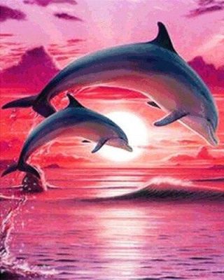 Dolphin in Pink Sky Paint By Numbers
