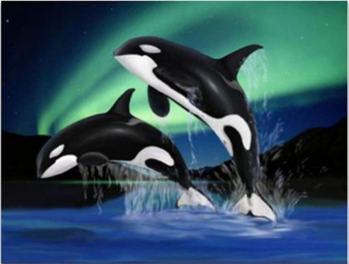 Dolphins in Northern Lights Paint By Numbers