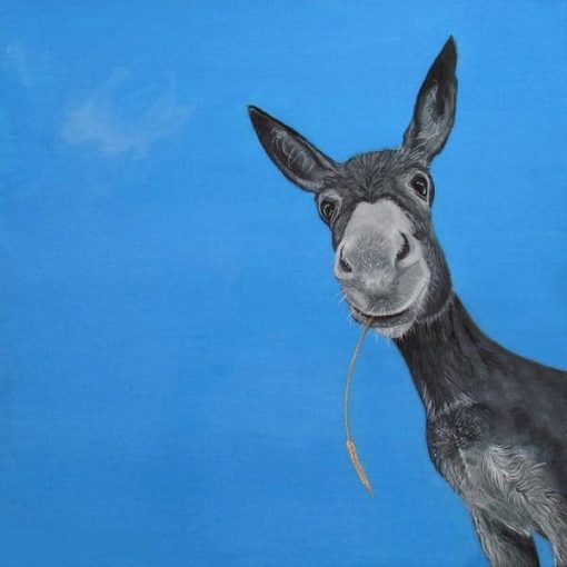 Donkey Portrait Paint By Numbers