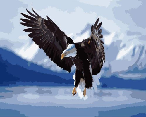 Eagle Wings Paint By Numbers