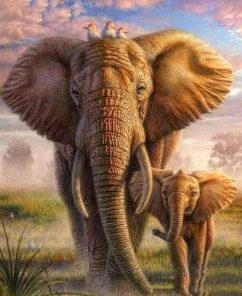 Elephant And His Cub Paint By Numbers