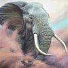 Elephant In Sand Paint By Numbers