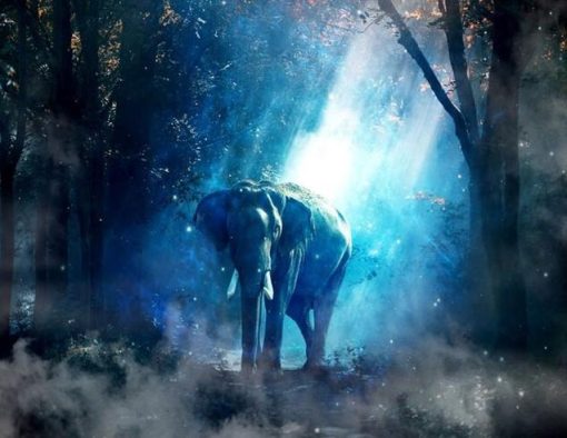 Elephant in Forest Paint By Numbers