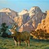 Elk In The Sawtooths Paint By Numbers