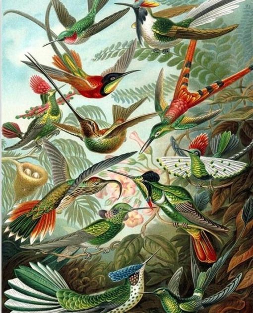 Flock Of Birds Paint By Numbers