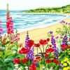 Flowers on The Beach Paint By Numbers