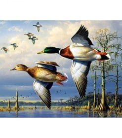 Flying Mallard Ducks Paint By Numbers