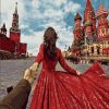 Follow Me to Moscow Paint By Numbers