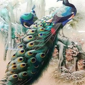 Forest Peacock Paint By Numbers