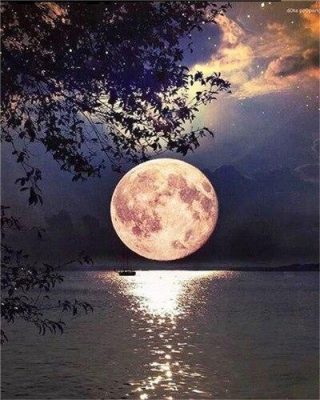 Full Moon on Lake Paint By Numbers