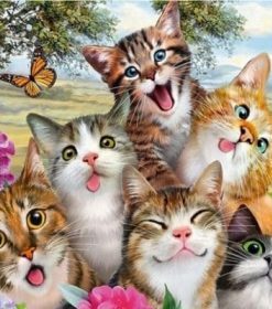 Funny Cats With Butterflies Paint By Numbers