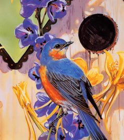 Garden Bluebird Paint By Numbers
