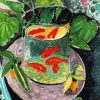 Goldfish Bowl Still Life Paint By Numbers