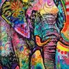 Graffiti Elephant Paint By Numbers
