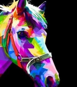 Horse Head on Color Paint By Numbers