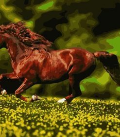 Horse Running in The Wild Paint By Numbers