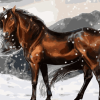 Horse in Snow Paint By Numbers