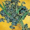 Irises Flower Van Gogh Paint By Numbers