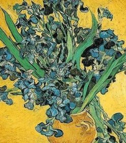 Irises Flower Van Gogh Paint By Numbers