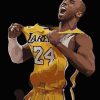 Kobe Bryant paint by numbers