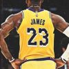 Lebron James Basketballer Paint By Numbers
