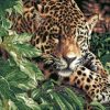 Leopard In Nature Paint By Numbers