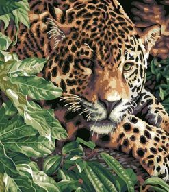 Leopard In Nature Paint By Numbers