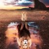 Lion Reflection Paint By Numbers