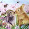Lovers Rabbit Paint By Numbers