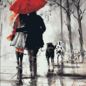 Lovers Walking In The Rain Paint By Numbers