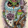 Mandala Colorful Owl Paint By Numbers