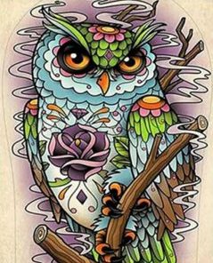 Mandala Colorful Owl Paint By Numbers