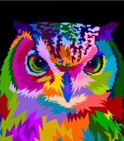 Owl Colorful Pop Art Paint By Numbers