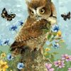 Owl and Butterfly Paint By Numbers