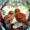 Owls Paint By Numbers