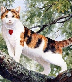 Pet Cat on a Tree Paint By Numbers