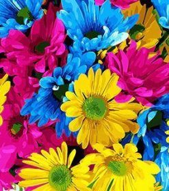 Pink Blue and Yellow Flowers Paint By Numbers